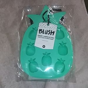 NWOT Pineapple ice tray